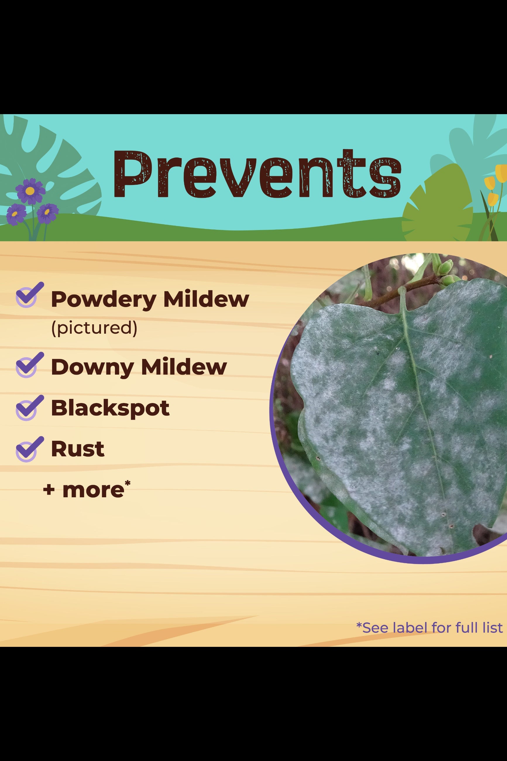 Advertisement for a product that prevents powdery mildew, downy mildew, blackspot, and rust on plants. ©Bonide