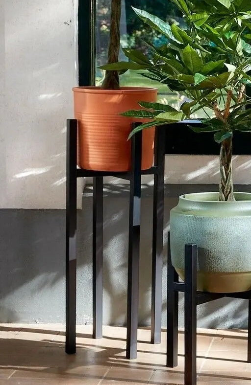 Indoor setting with multiple potted plants in front of a large window including an Ascot XL Plant Stand Black with a terracotta colored pot and tree with a view of trees. ©Creation Jute USA