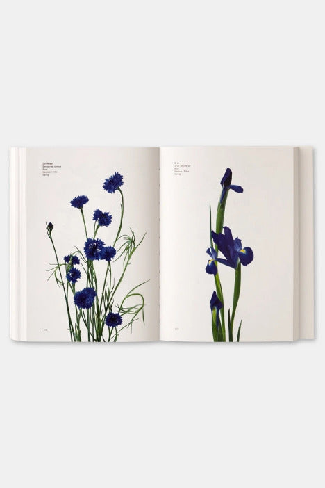 Open Flower Color Guide showing illustrations of blue flowers on a white background ©Phaidon