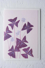 The Oxalix greeting card by Stengun Drawing with its dark purple leaves and light purple flowers