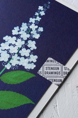 Detail of the Wisley Hydrangea card by Stengun Drawings showing the delicate white flowers.