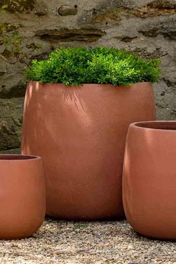 Large Potrero planter in Rosa terracotta with a potted evergreen.