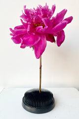 Large black round Kenzan with a peony stem stuck in the middle against a white wall. 