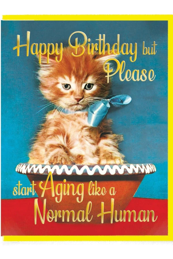 Happy Birthday but Please start aging like a normal human! card by Smitten Kitten with the kitten in a bowl.