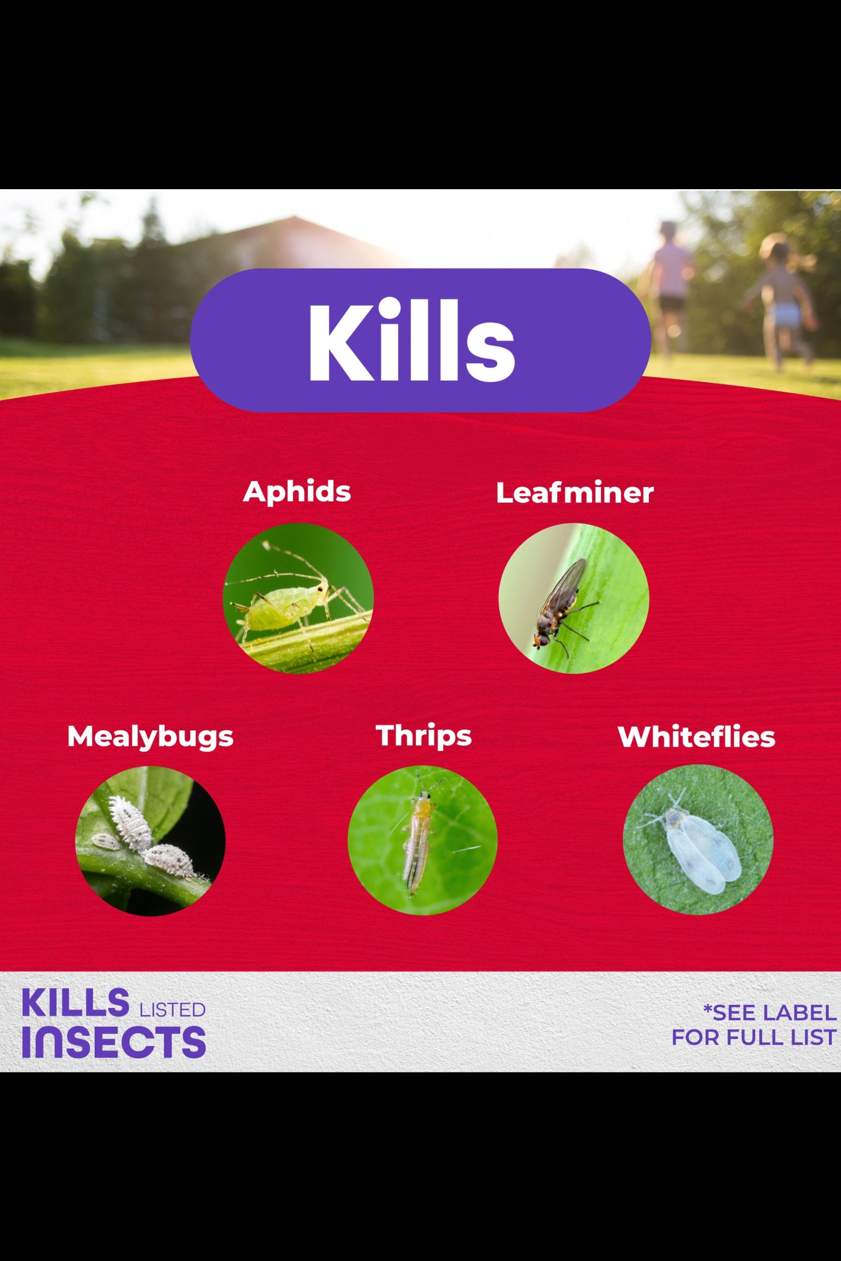 Product label showing insects killed by a pest control product with images and text. ©Bonide