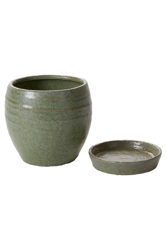 Romney green ceramic pot with saucer on a white background ©Accent Decor