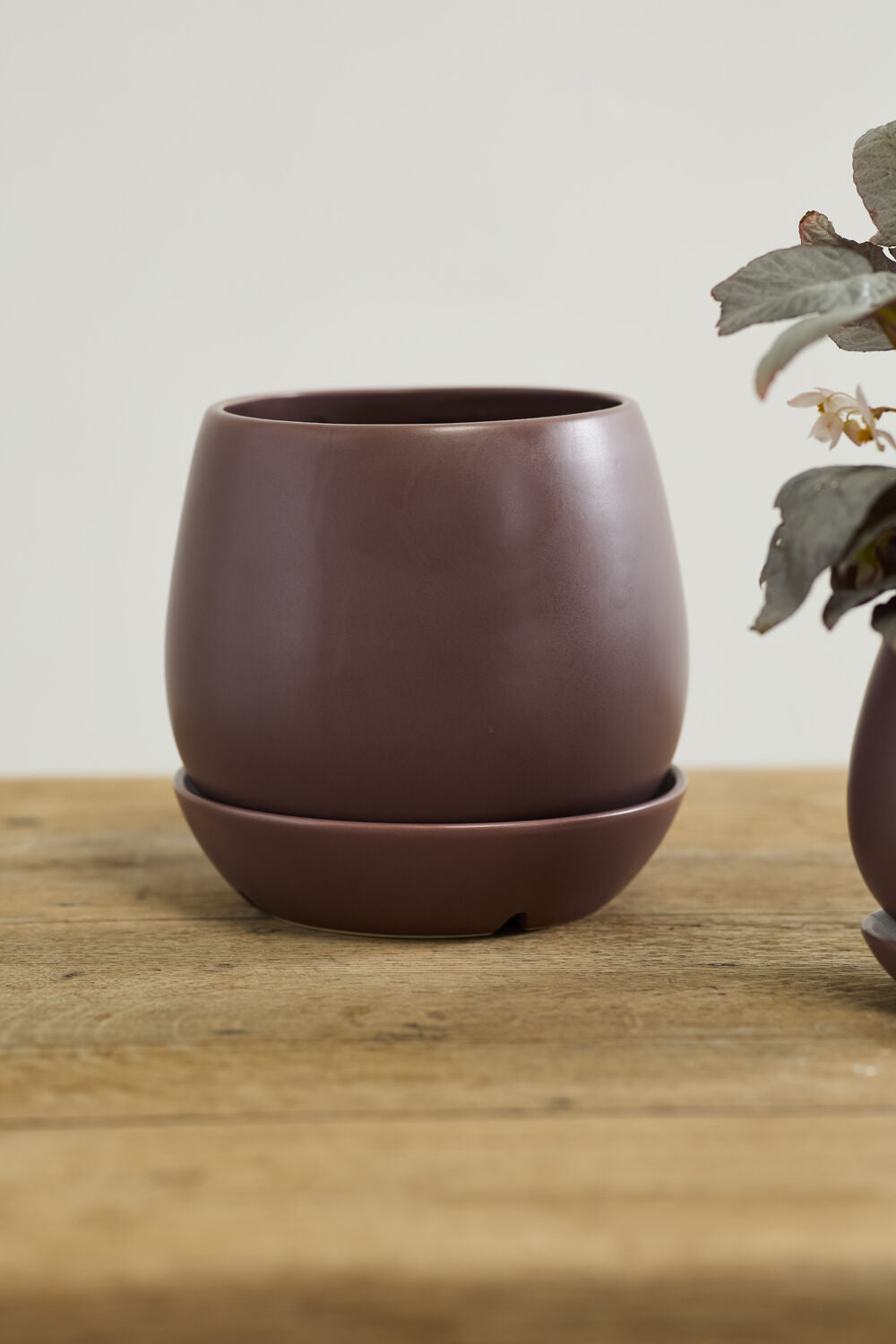 Purple Dalton ceramic pot on a wooden surface with a light background ©Accent Decor