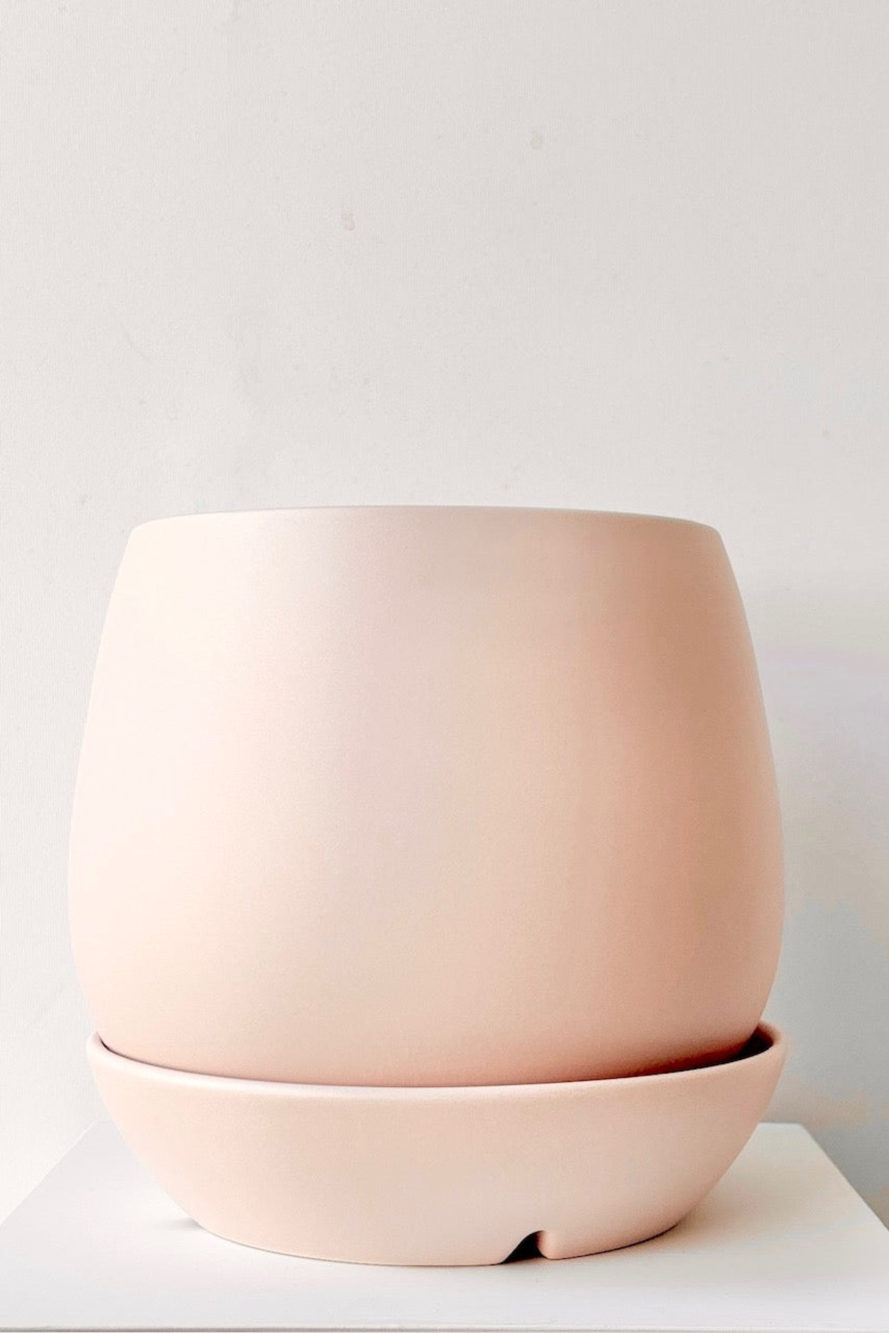Pink Dalton ceramic planter on a white surface with a light gray background ©Sprout Home