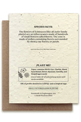 Echinacea seeded card showing the front of the card showing the back of the card with the seed ingredients.