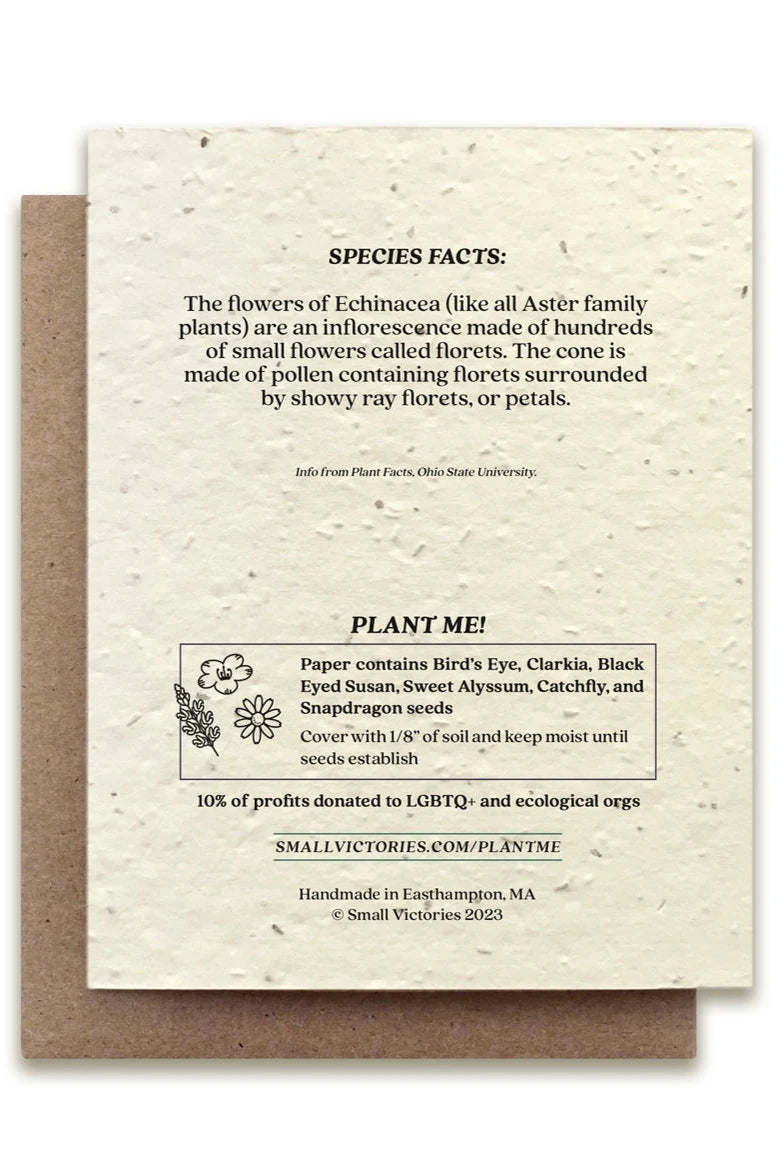 Echinacea seeded card showing the front of the card showing the back of the card with the seed ingredients.