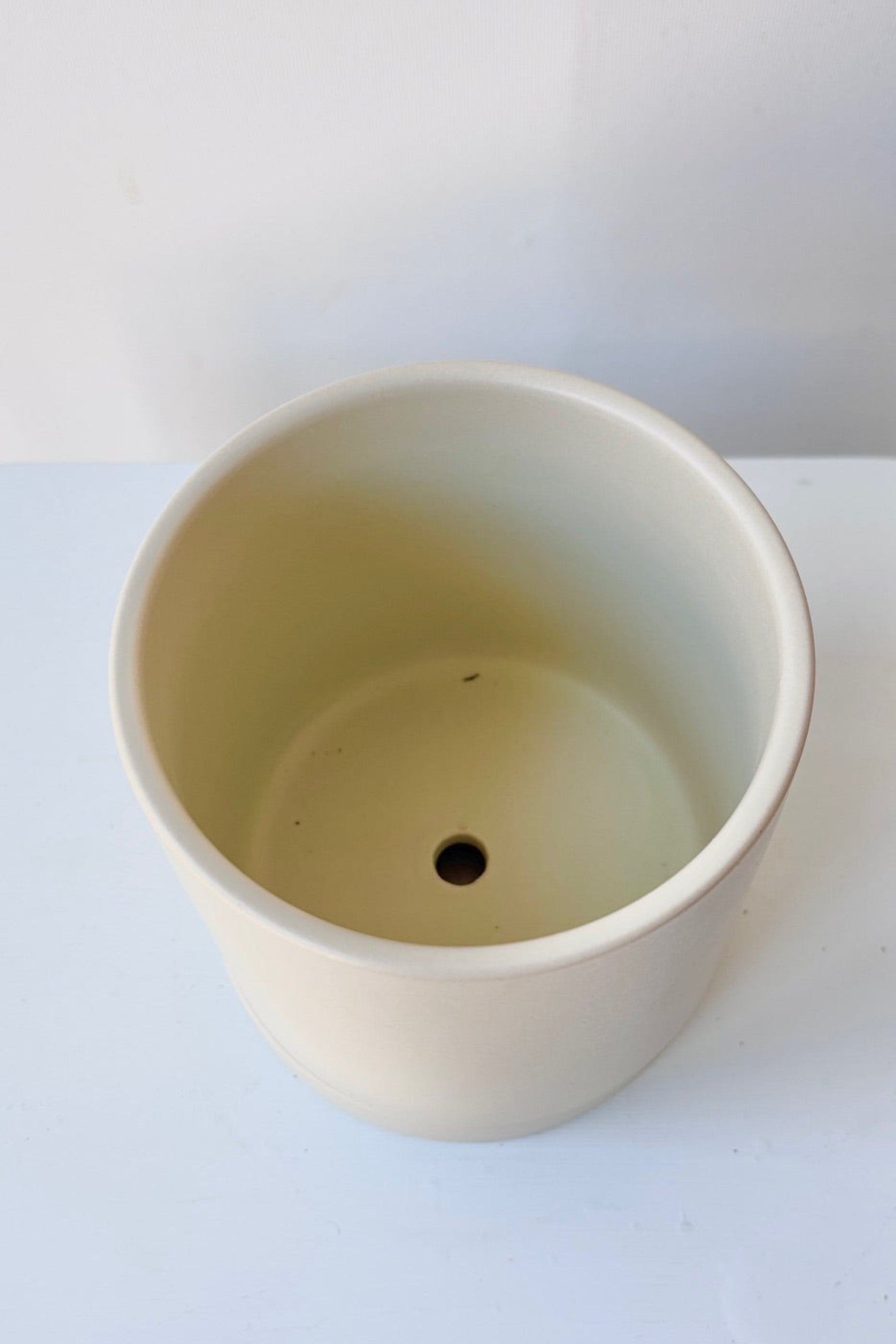 Top view of beige ceramic Romey pot on a white background ©Sprout Home
