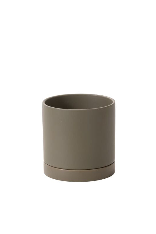 Moss Romey cylindrical container on a white background Accent Decor