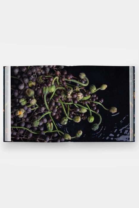 Emily Thompson Flowers Book with a close-up of berries and green stems on a black background ©Phaidon 