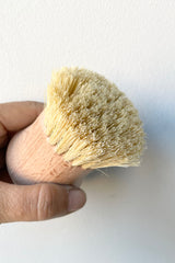 The beech wood natural brush being held in hand against a white wall. 