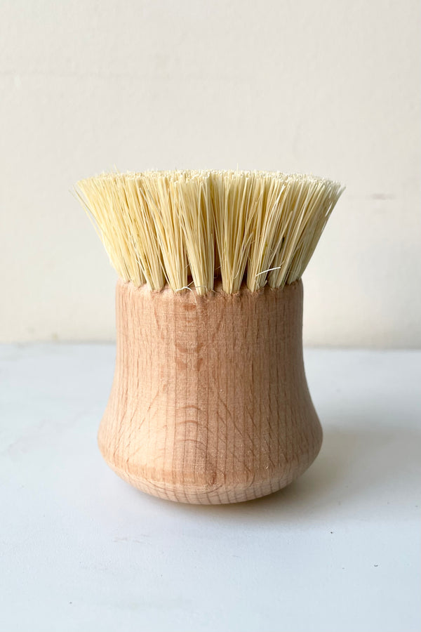 The beech wood natural brush sitting on the wood handle against a while wall with the bristles upright. 