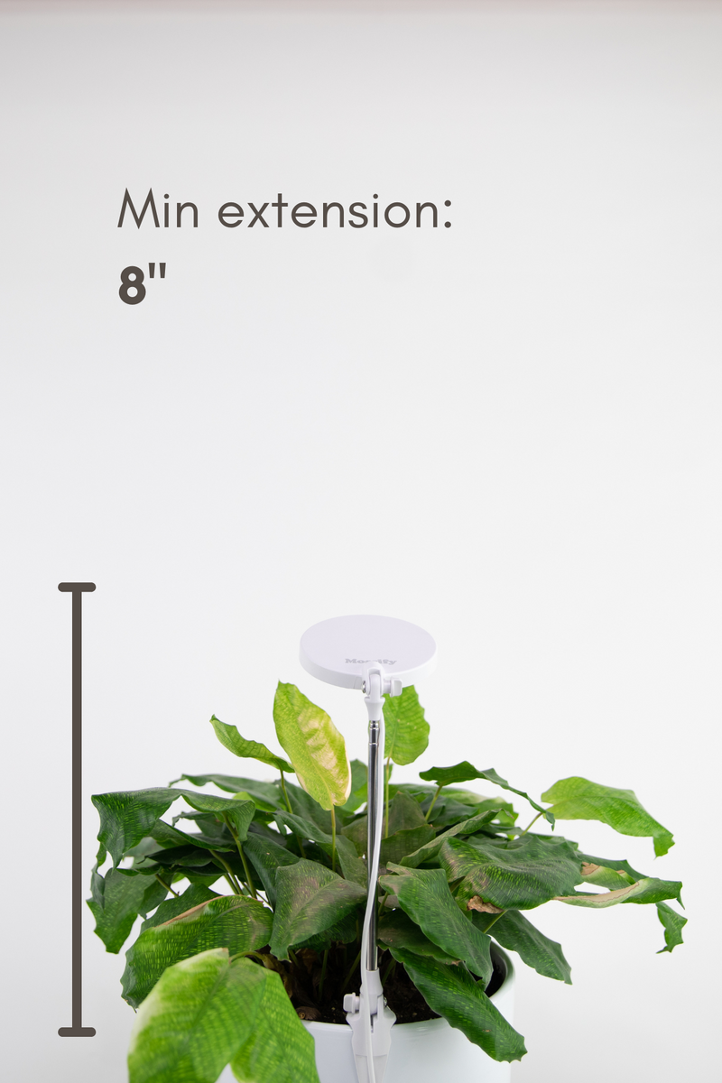 illustration of the lowest height of the adjustable plant light. 