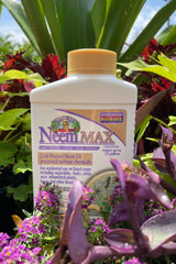 Bon neem Max 8oz bottle standing with some plants