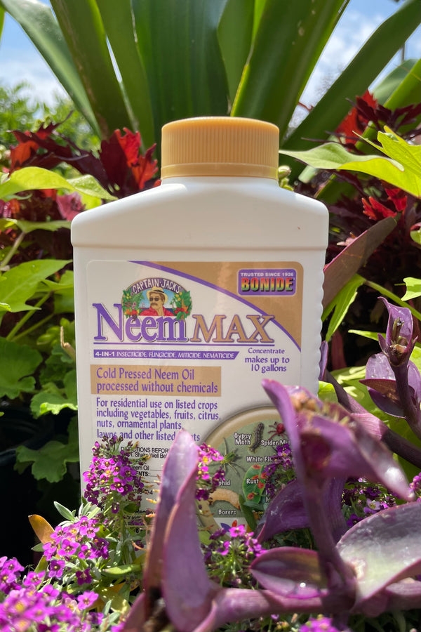 Bon neem Max 8oz bottle standing with some plants