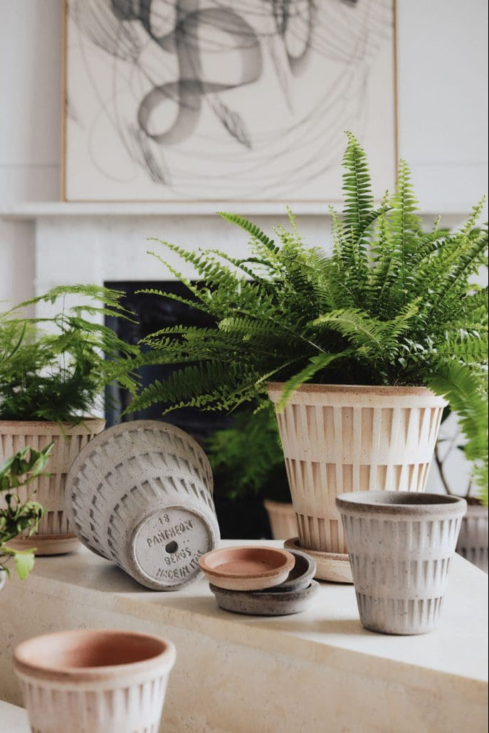 A collection of potted plants and terracotta on a table with a neutral background ©Bergs Potter