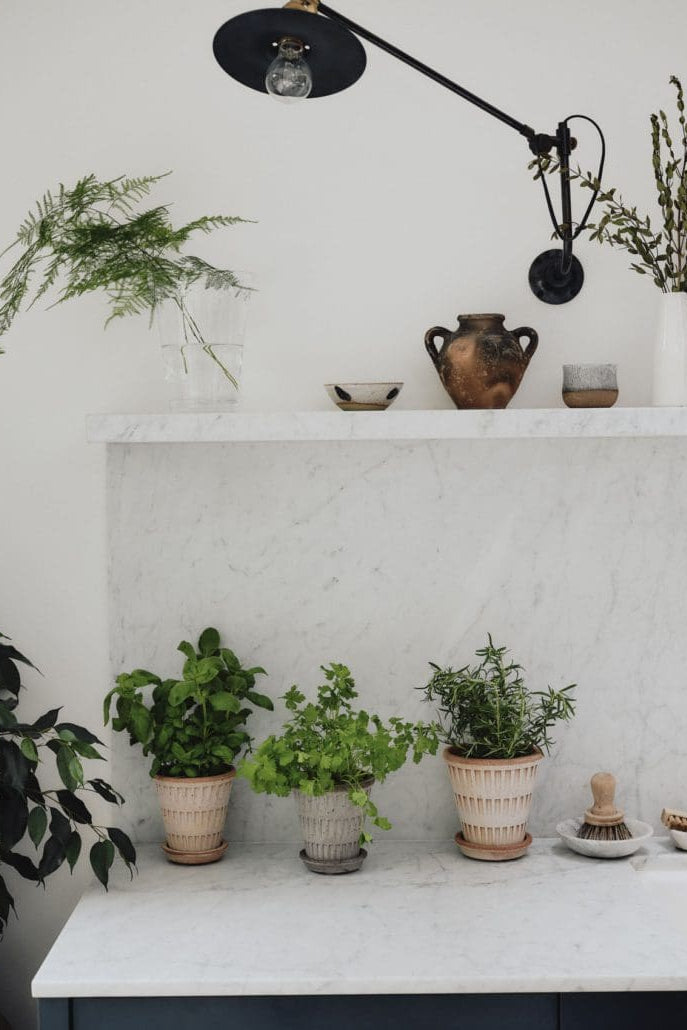 Potted plants and terracotta on white shelves in a white room ©Bergs Potter