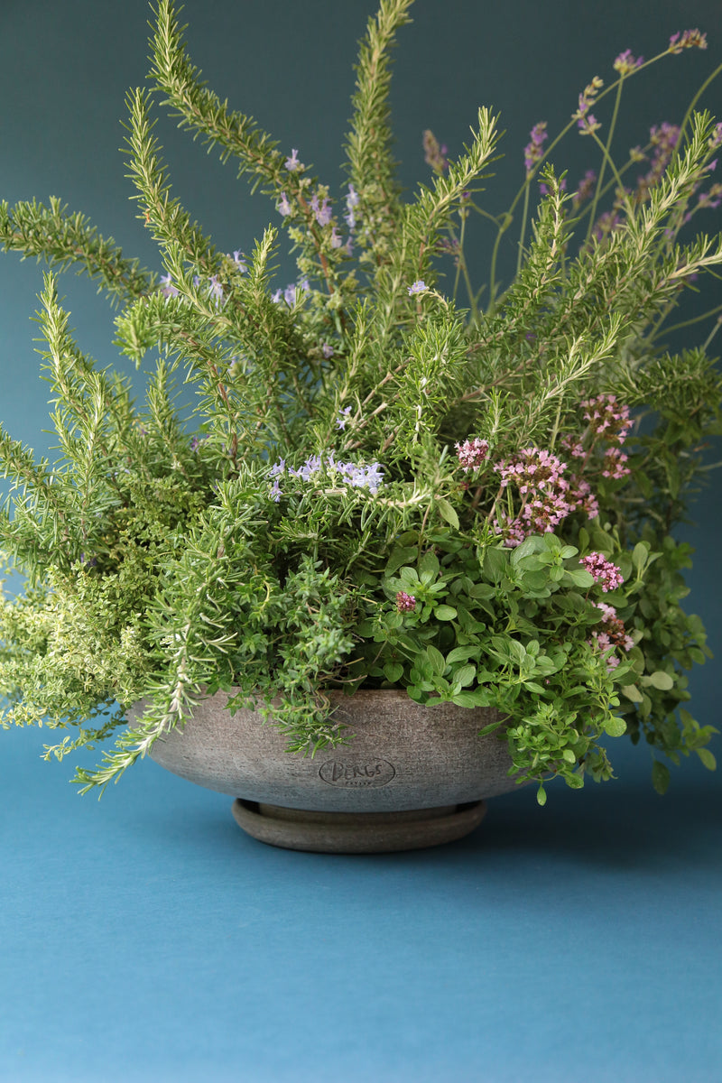 A planted Raw Ada Bowl with a herbs up close by Bergs Potter. 