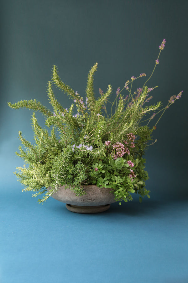 Ada Raw bowl by Bergs Potter planted with a selection of herbs on a blue background.