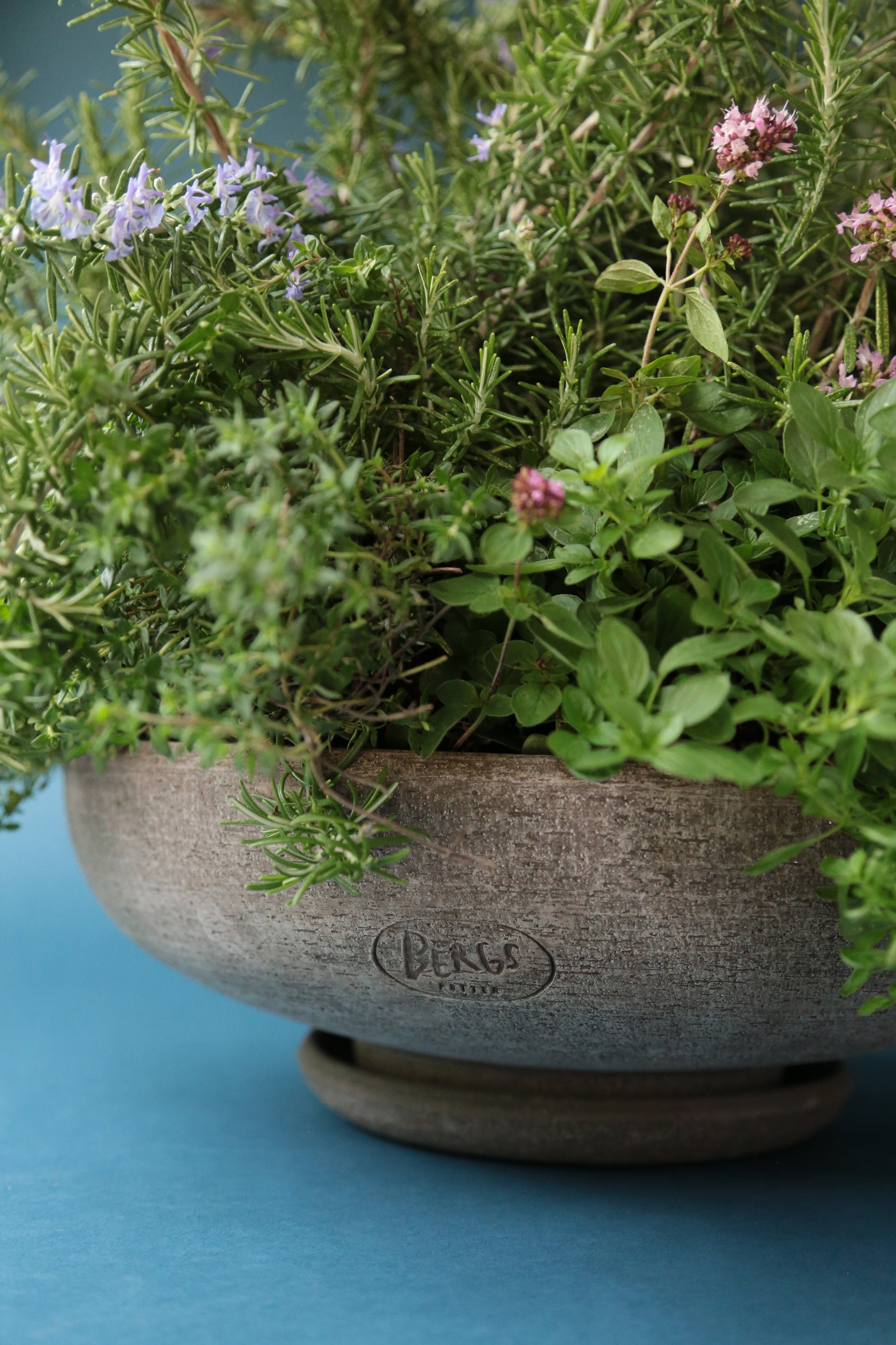 Bergs Potter Raw Ada bowl planted with herb plants up close showing the Bergs stamp.  ©Bergs Potter