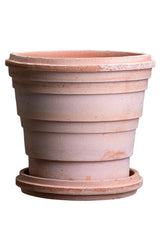 The Bergs Potter Rosa Planets Saturn Pot