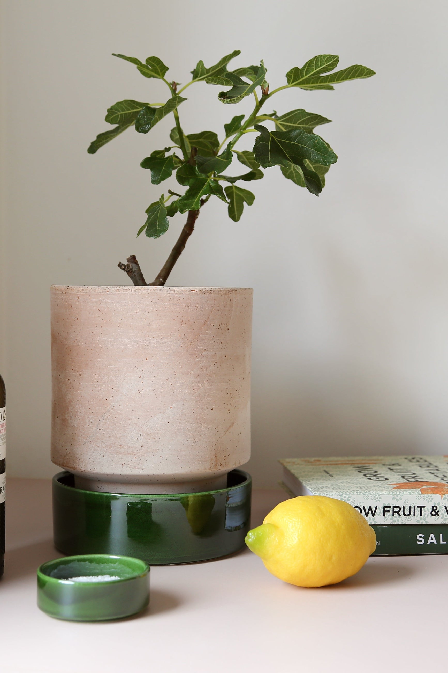 Rosa and Emerald Hoff Pot by Bergs Potter in a lifestyle shot with a potted plant books and a lemon ©Bergs Potter