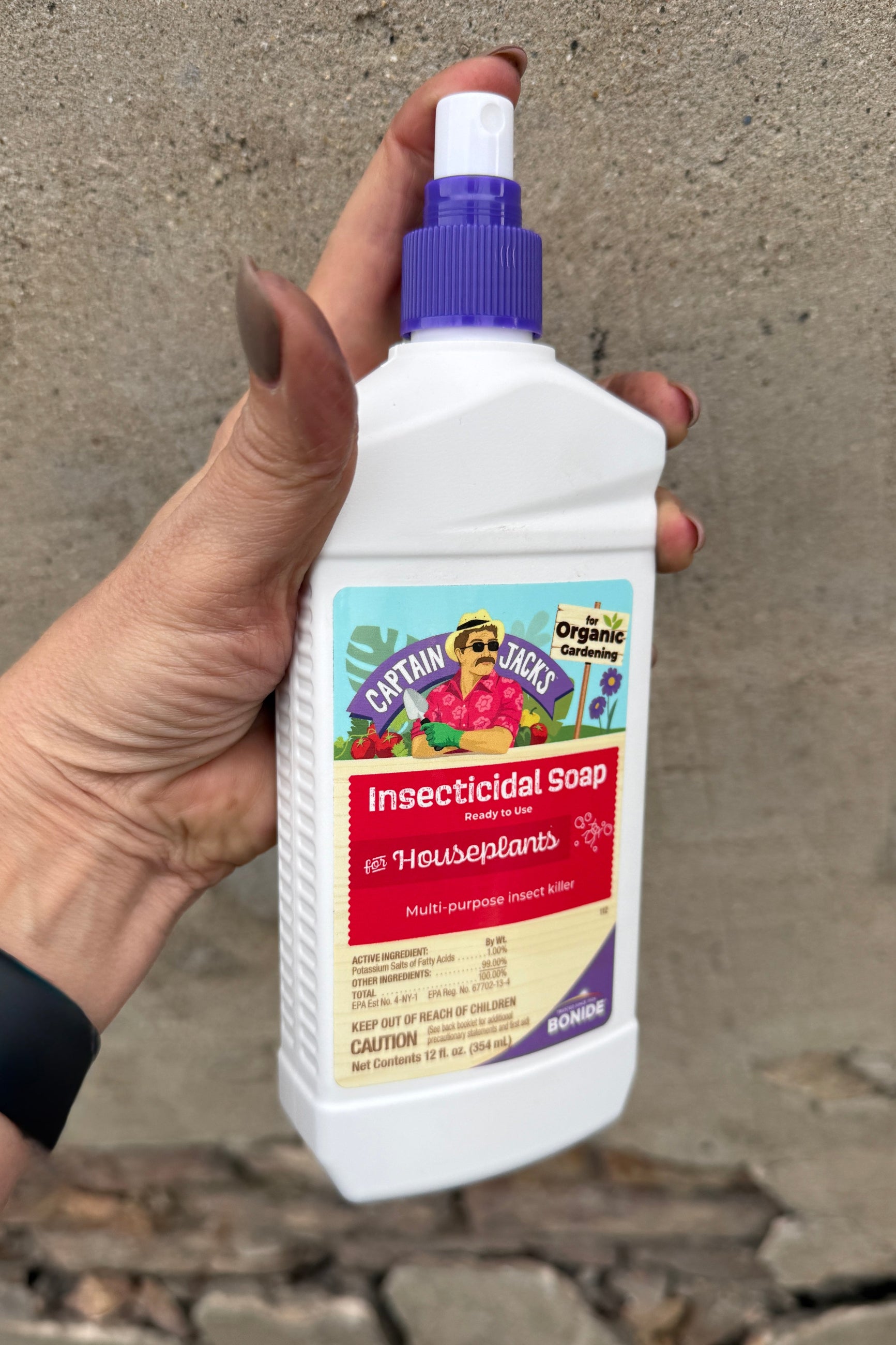 Hand holding a bottle of Captain Jack's Insecticidal Soap for Houseplants against a concrete wall. ©Sprout Home