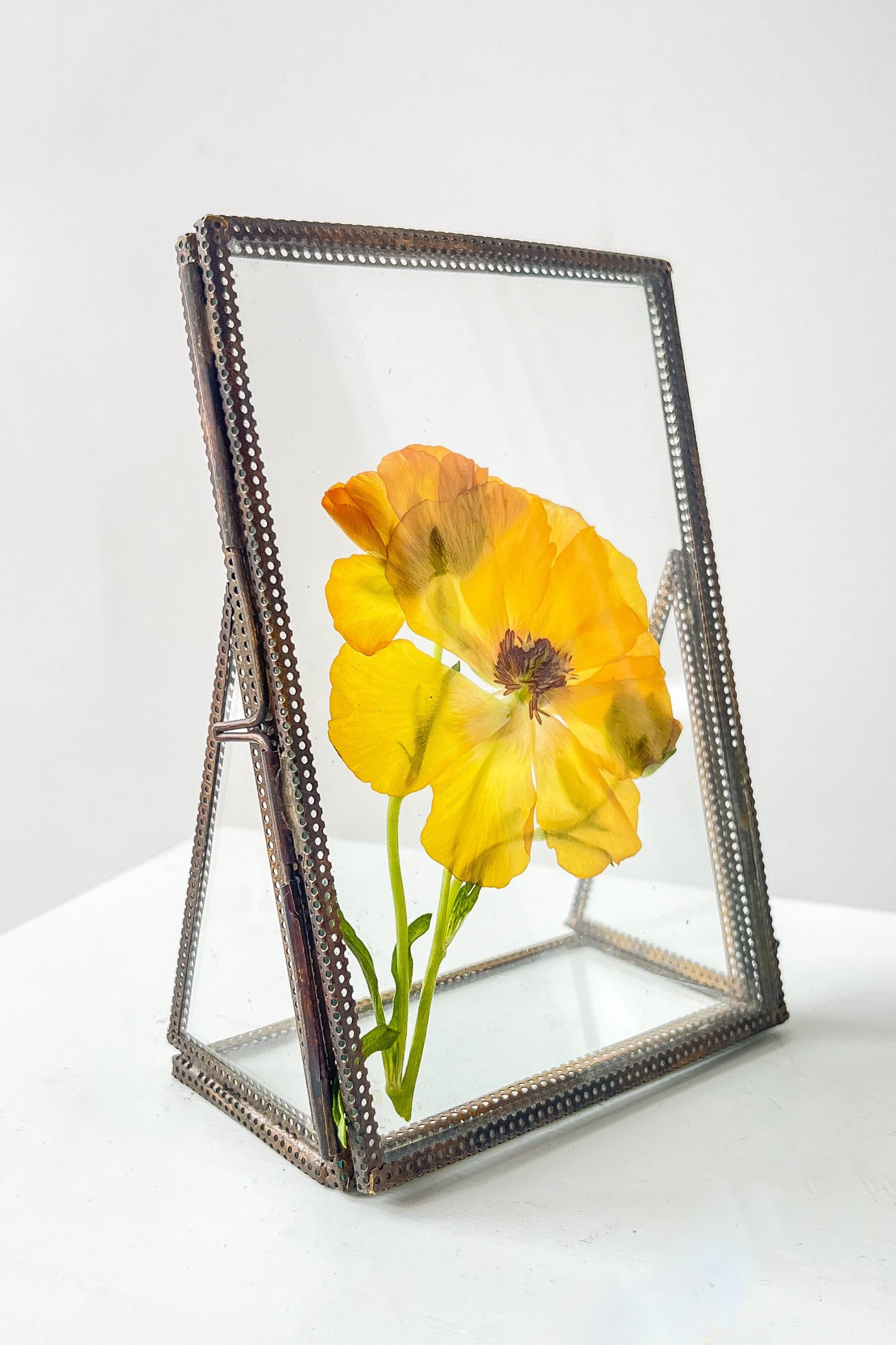 Yellow flower in a decorative glass frame on a white background ©Sprout Home