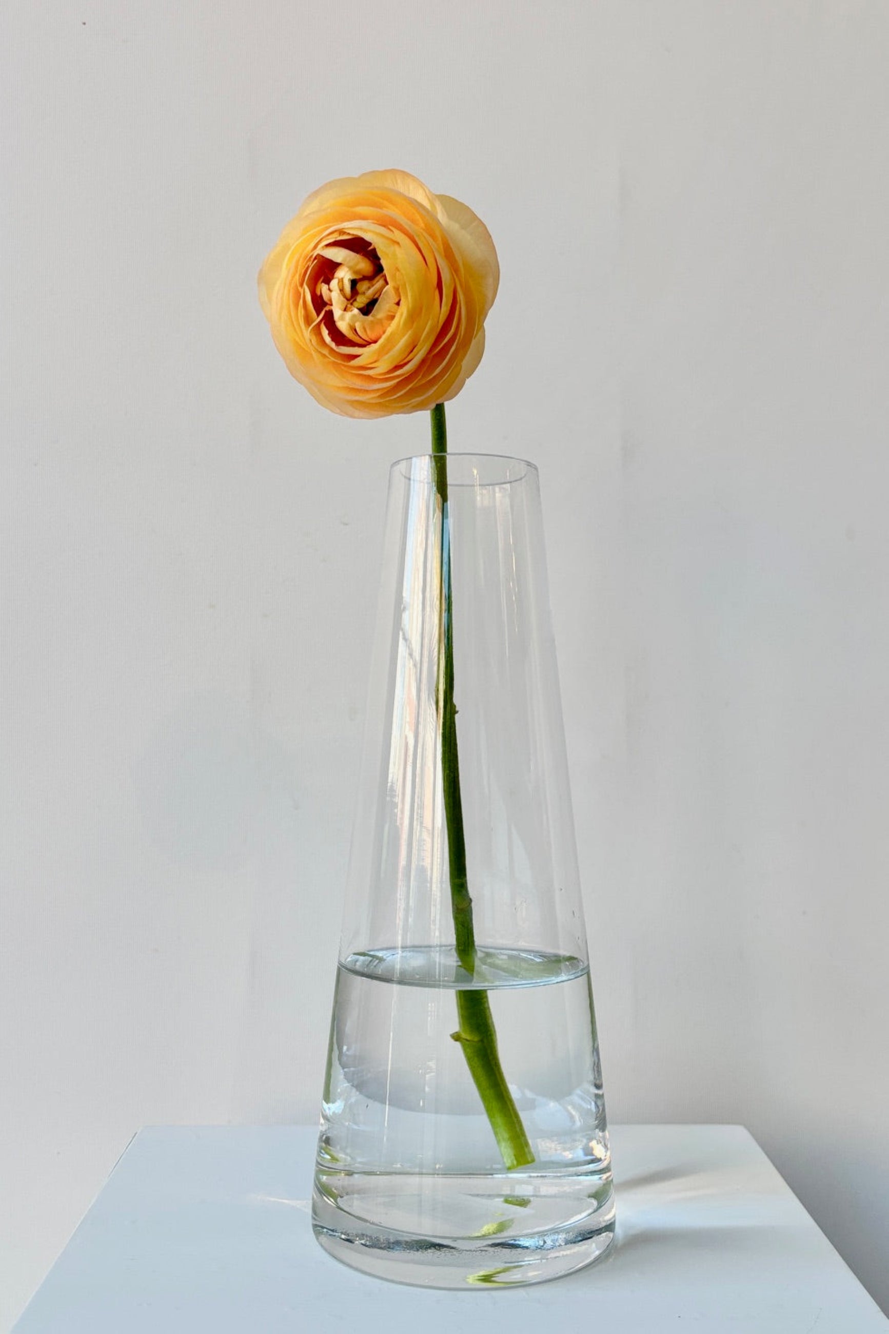 Clear glass Beckon vase against a white background ©Sprout Home