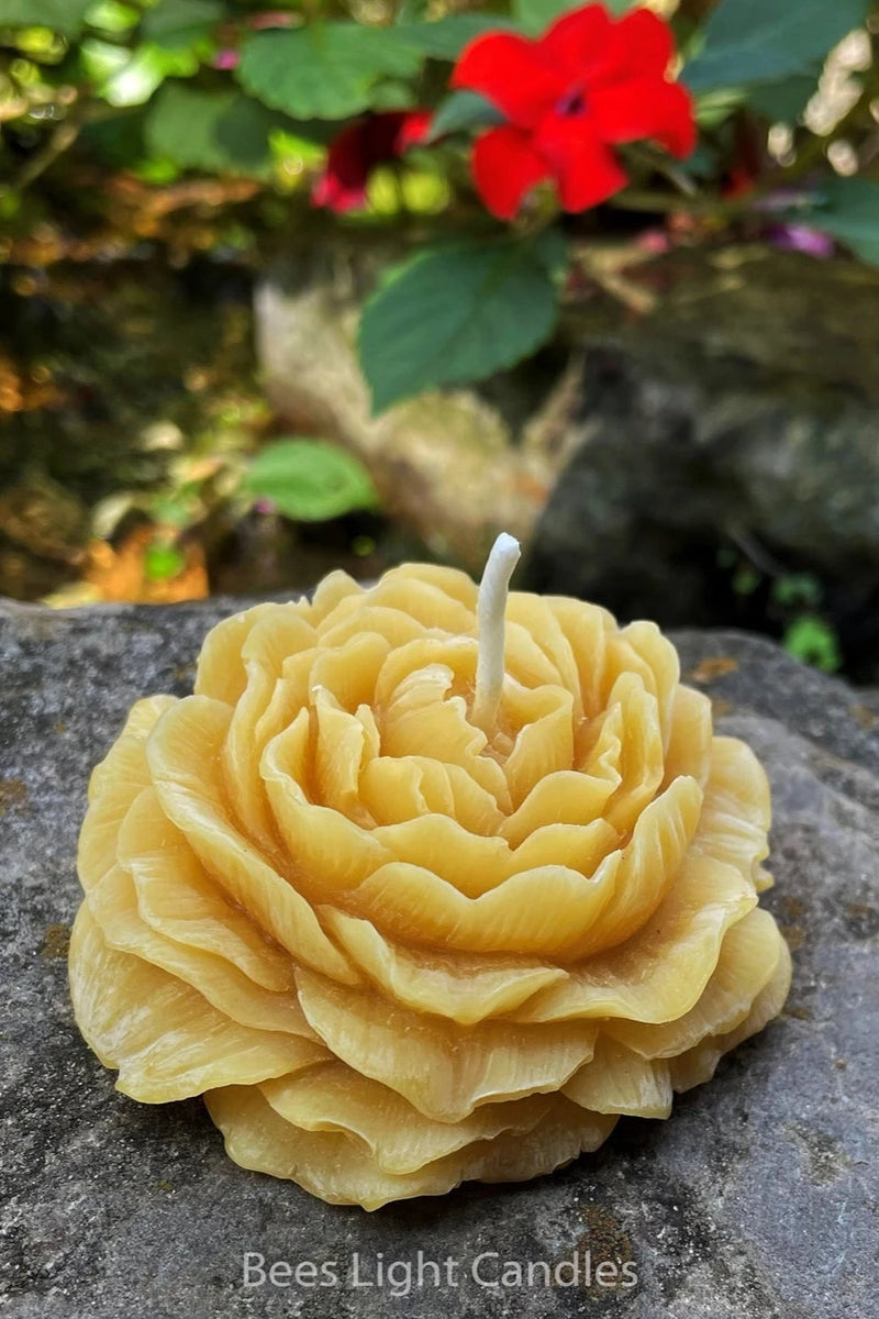 Peony candle by Bees Light Candles sitting on a rock with a red impatient in the background. 