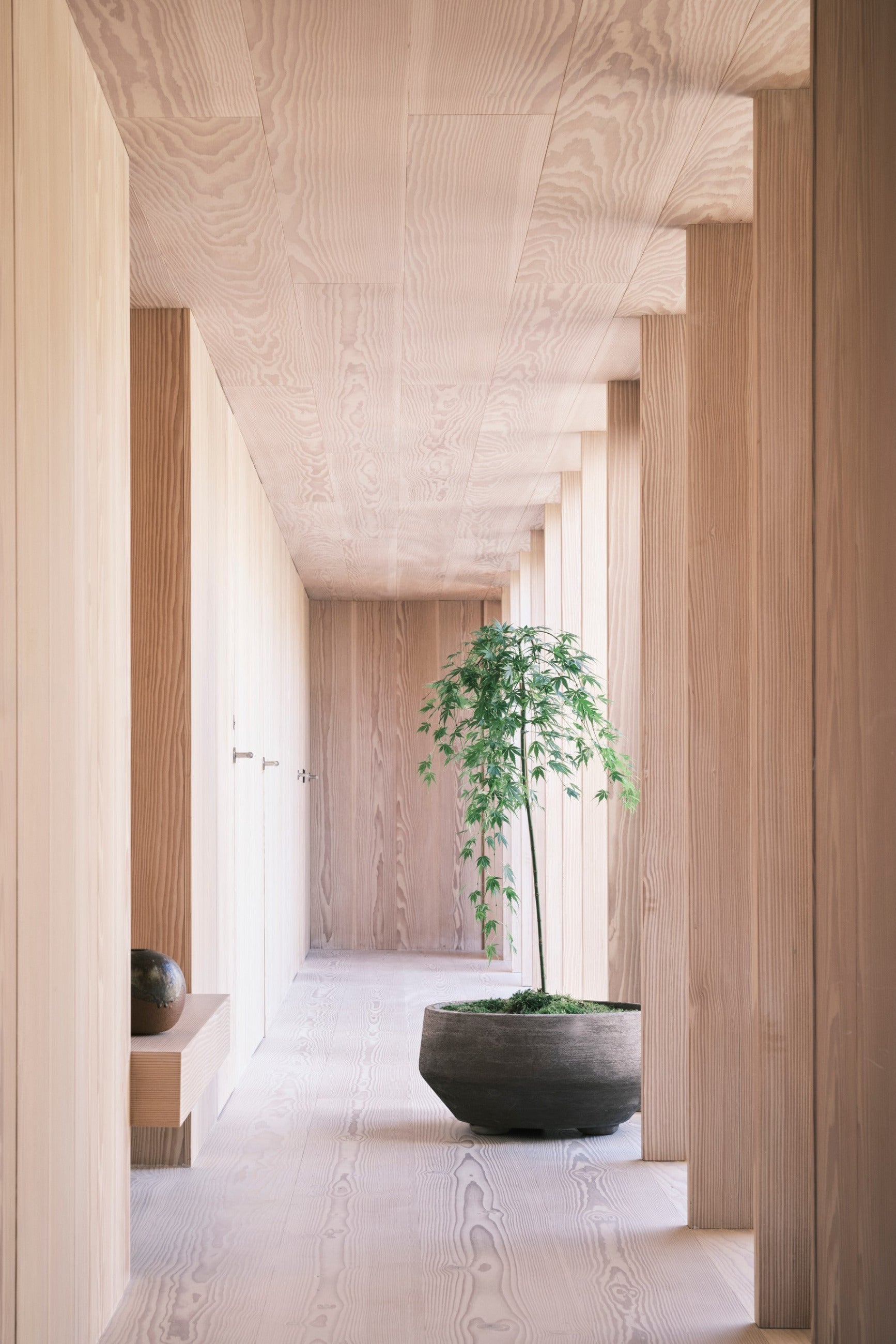 Staircase with a potted plant  in a Grey Doma Pot in a modern architectural setting ©Bergs Potter