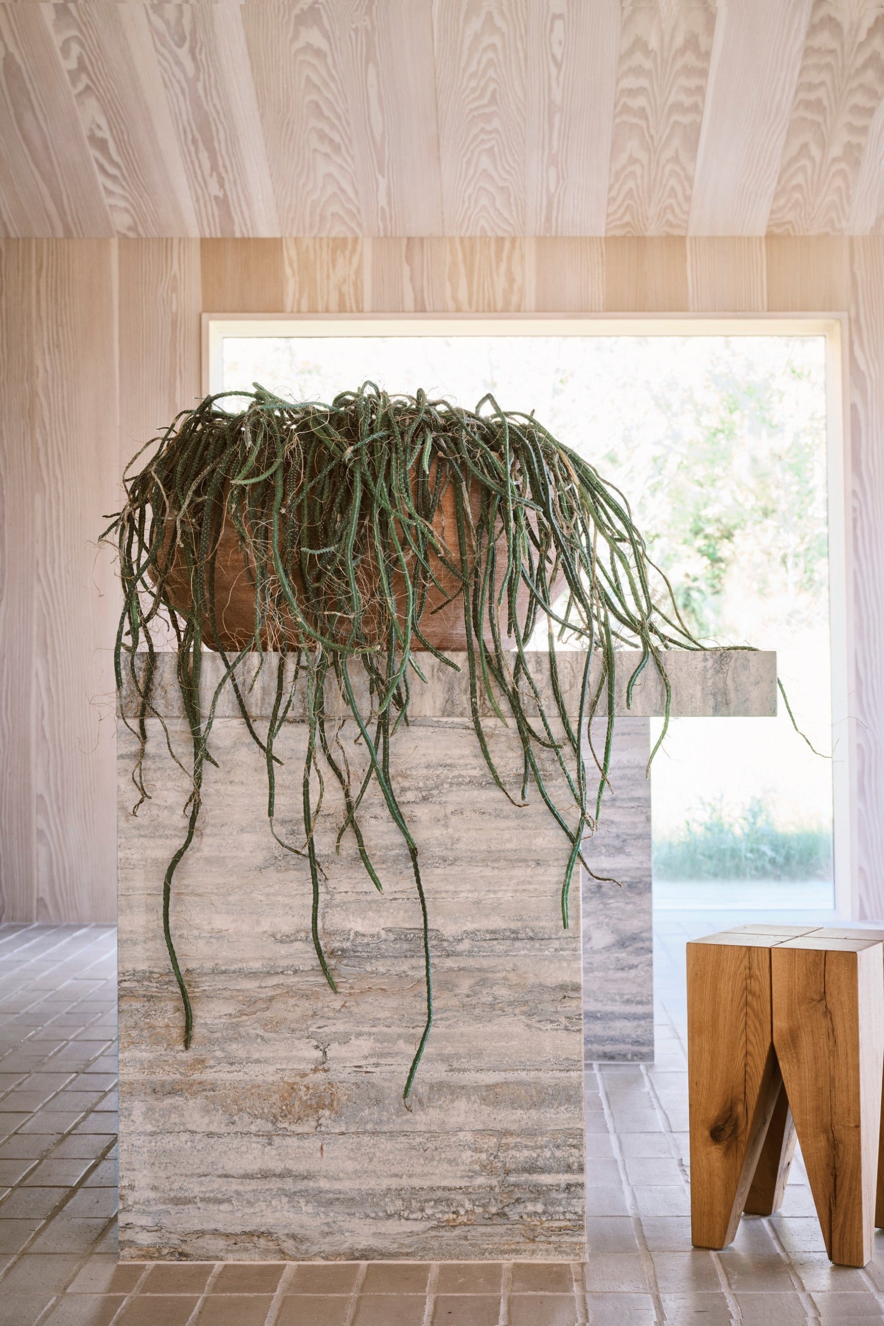 Potted plant in a Bergs Rosa Doma planter on a stone pedestal with a wooden stool in a room with light wood flooring and walls. ©Bergs Potter