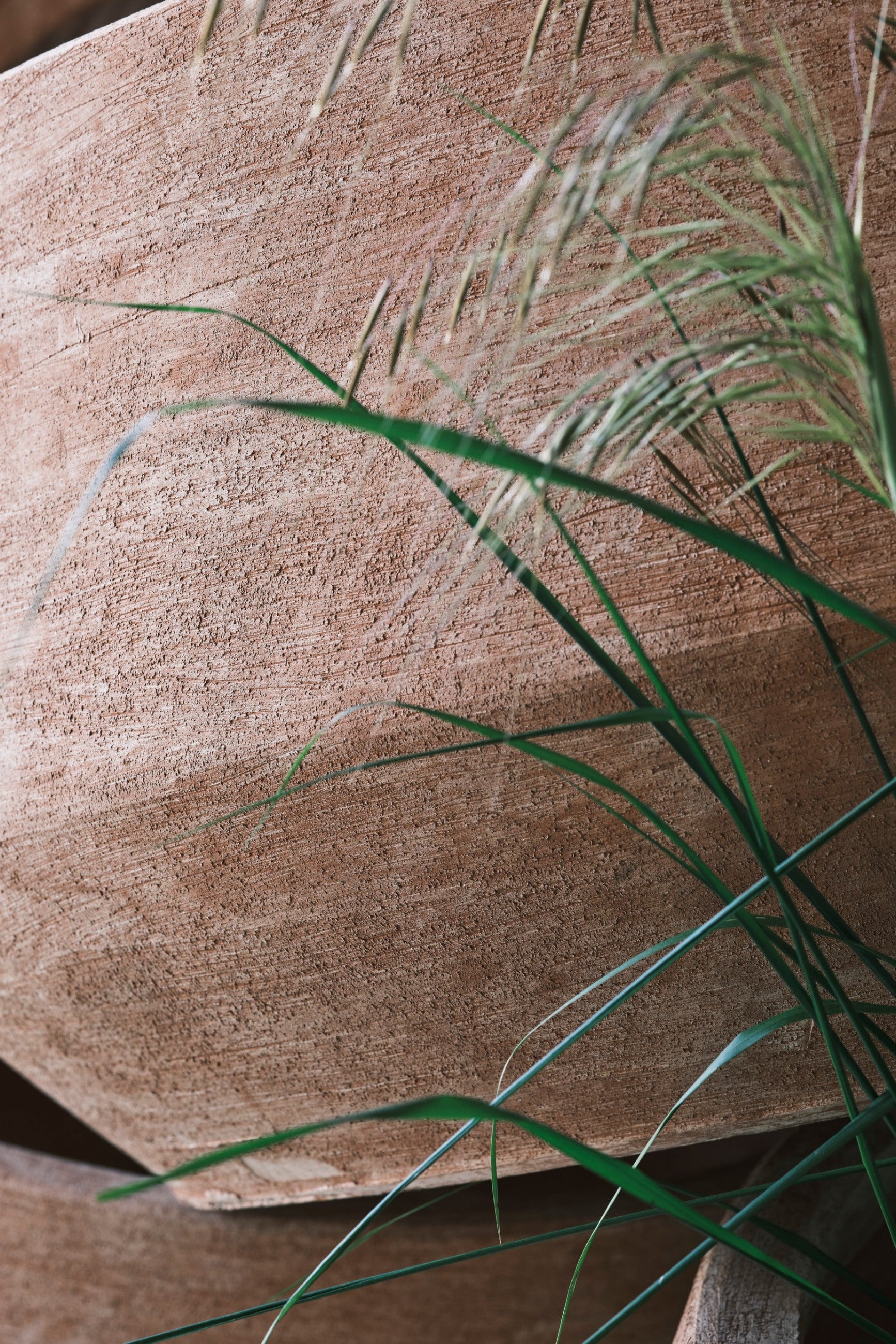 Close-up of a Doma Rosa Planter with green grass on a textured surface ©Bergs Potter