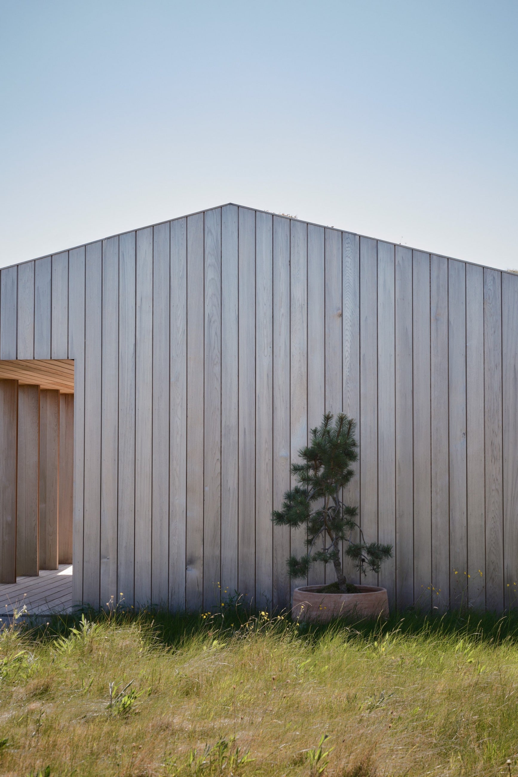 Modern building with wooden facade and a small tree in front planted in a Rosa Doma planter ©Bergs Potter