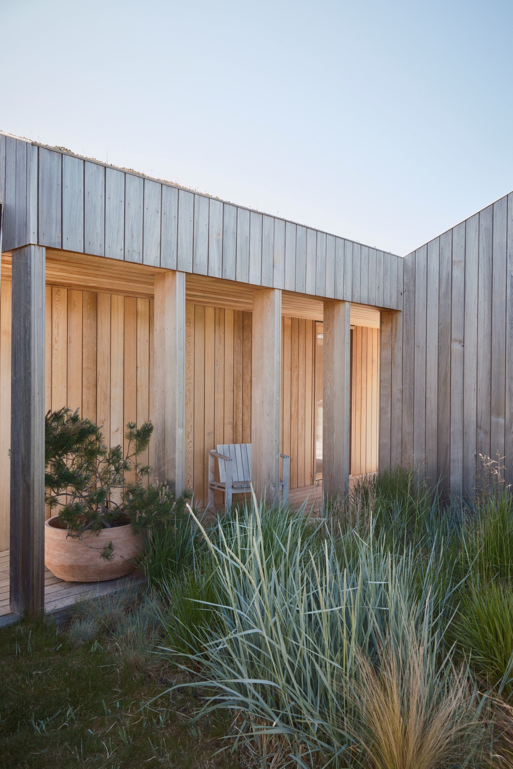 Modern wooden house with a garden, a Rosa Doma planter on the deck with an evergreen and clear sky ©Bergs Potter