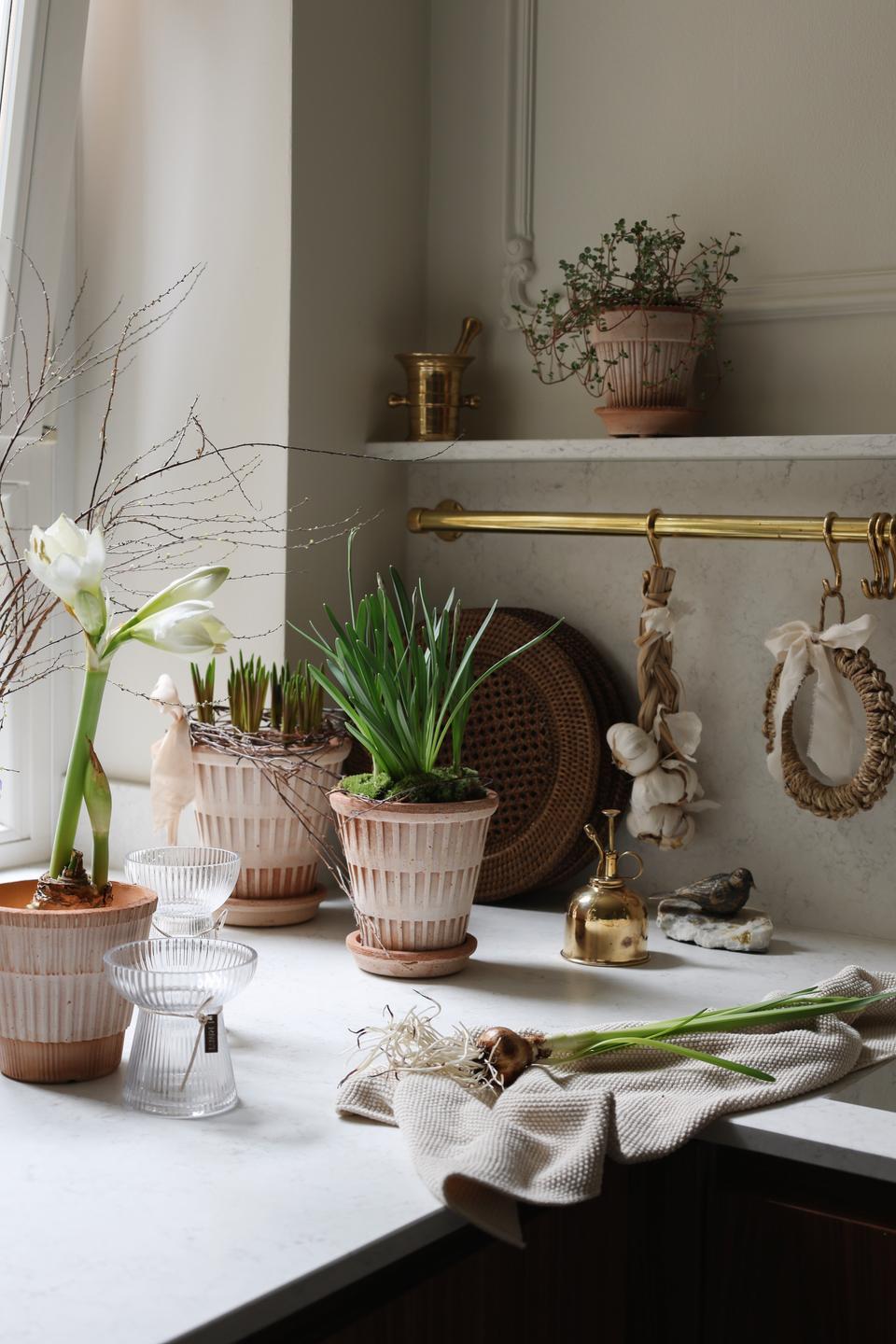 a kitchen table with Pantheon planters and bulbs ©Bergs Potter