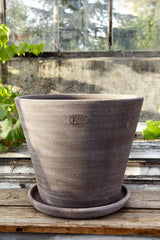 a Grey Julie pot by Bergs Potter in a cement and glass grow house.