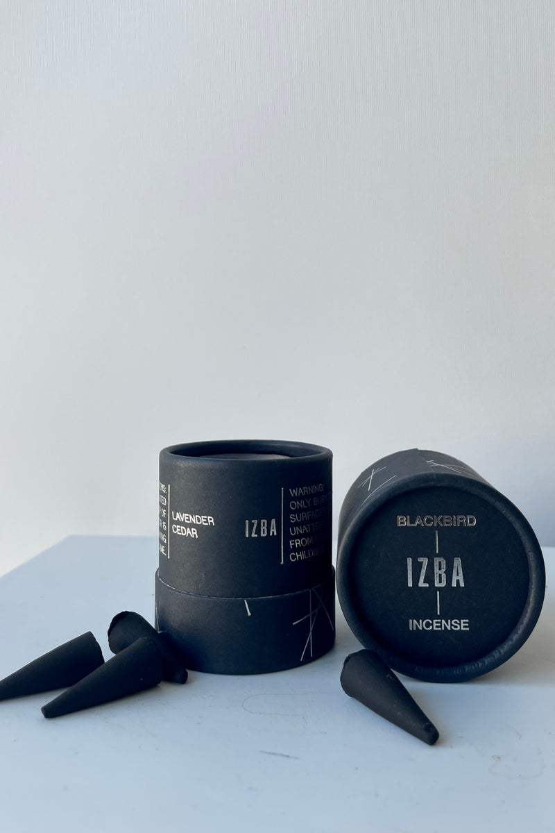 A black cylinder of Blackbird incense sits on a white surface in a white room.. The package features a pattern of intersecting silver lines. The incense is called Izba. To either side of the cylinder is a scattering of black incense cones.