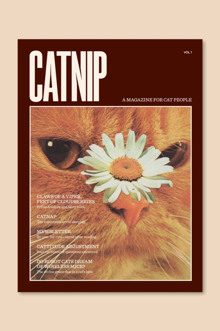 Catnip Magazine showing the front cover of a cat with a daisy on its face  by Broccoli.