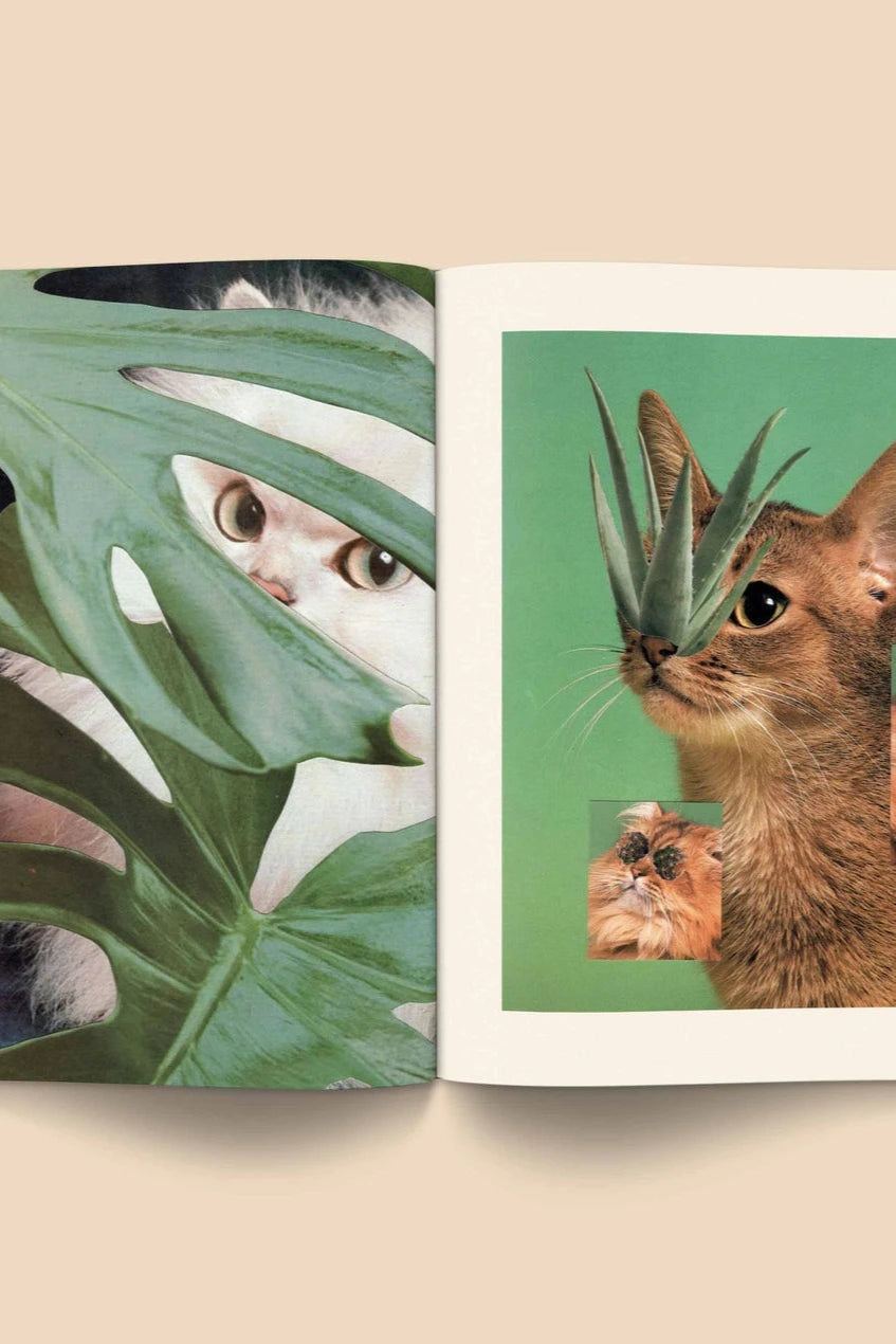 Catnip Magazine showing a open page of cats with plants by Broccoli.