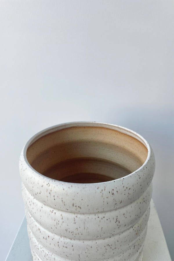 Photo looking down on a white and speckle glazed ceramic bubble planter against a white wall