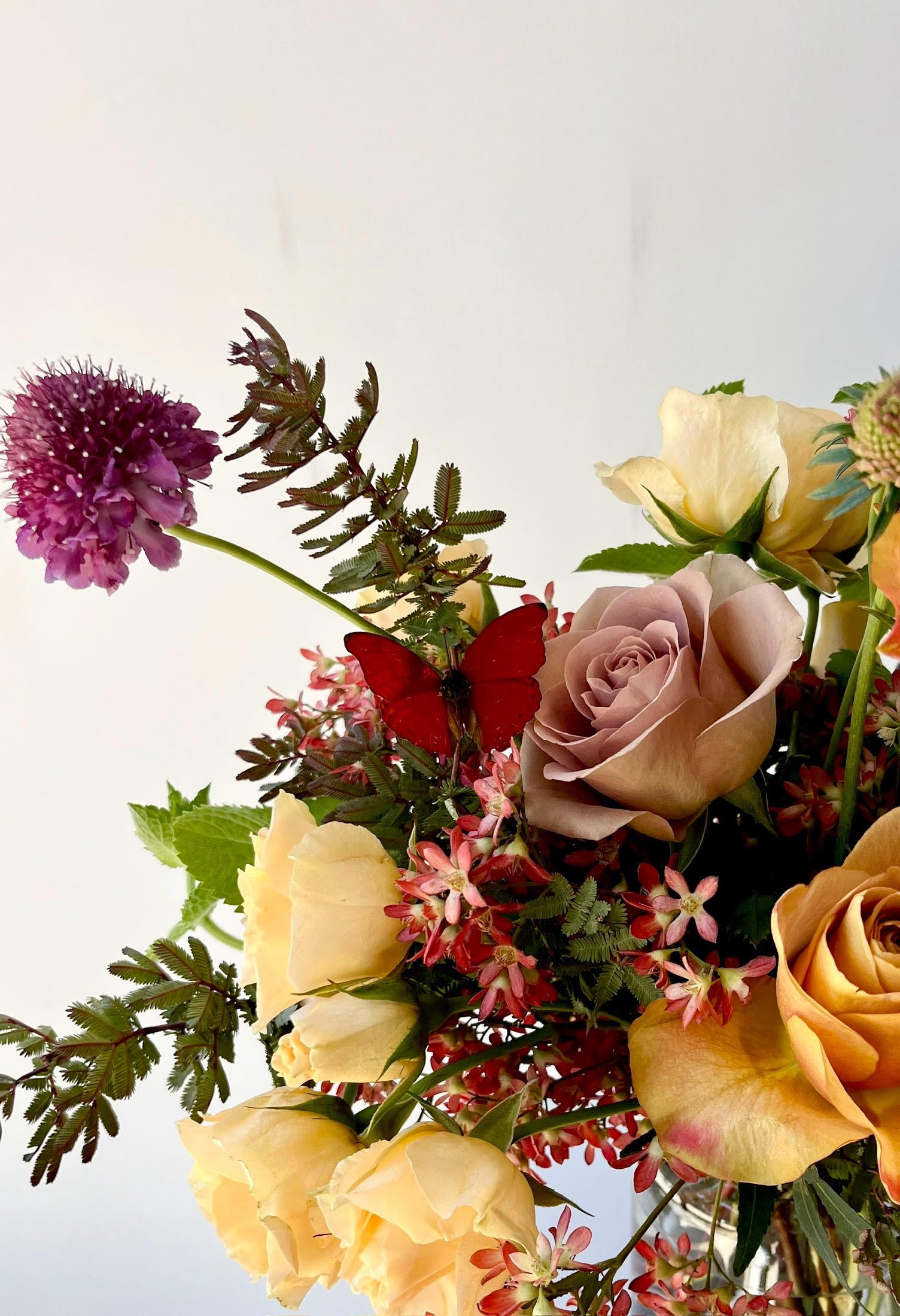 detail image of a red butterfly sitting on a rose in a custom floral arrangement by Sprout Home ©Sprout Home #size_$100