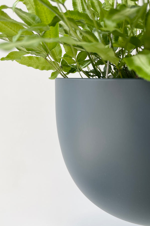 Close up of the Matte Deep blue finish on a Clifton Planter