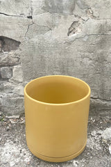 A slight overhead view of Solid Cylinder & Saucer mustard 10" against concrete backdrop