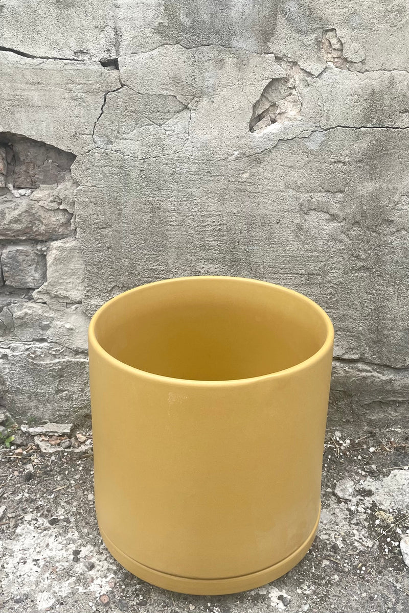 A slight overhead view of Solid Cylinder & Saucer mustard 10" against concrete backdrop