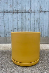 Photo of a cylindrical pot and saucer against a gray wall. The pot is by LBE Revival ceramics and has a mustard finish. The pot sits upon its saucer. It is called a Solid Cylinder and Saucer.