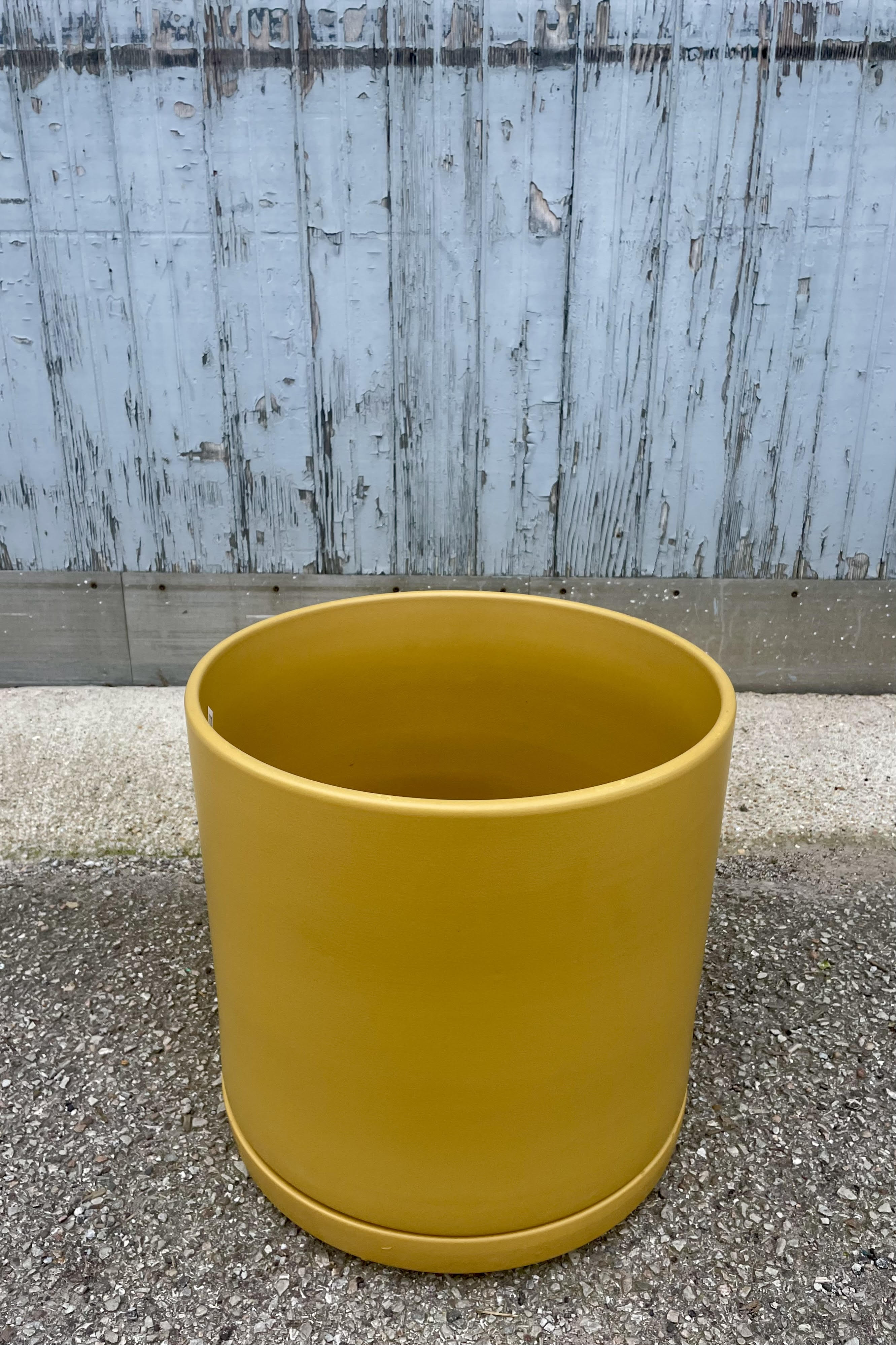 Photo from slightly above. Photo of a cylindrical pot and saucer against a gray wall. The pot is by LBE Revival ceramics and has a mustard finish. The pot sits upon its saucer. It is called a Solid Cylinder and Saucer.